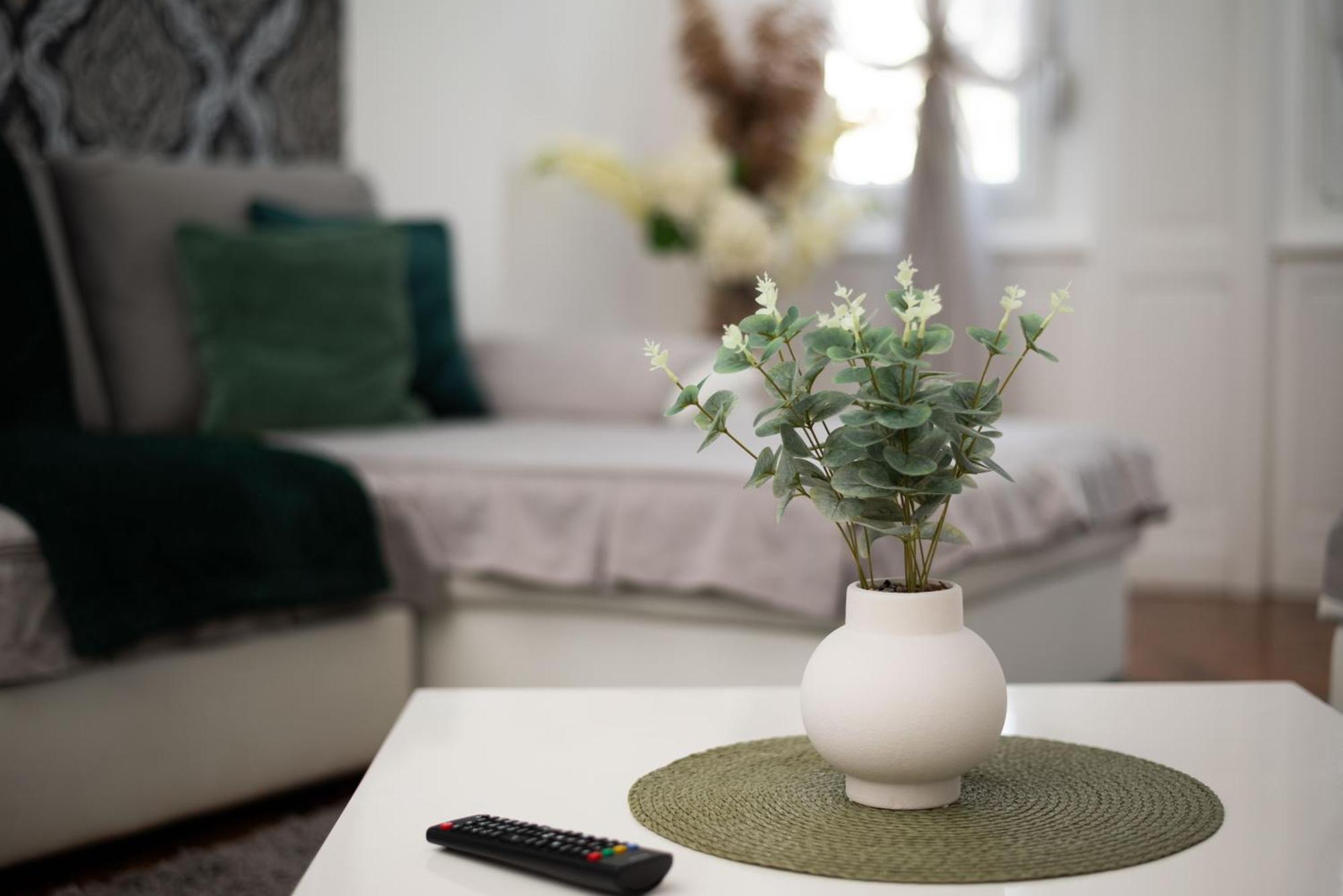 סובוטיקה Apartment Primula מראה חיצוני תמונה